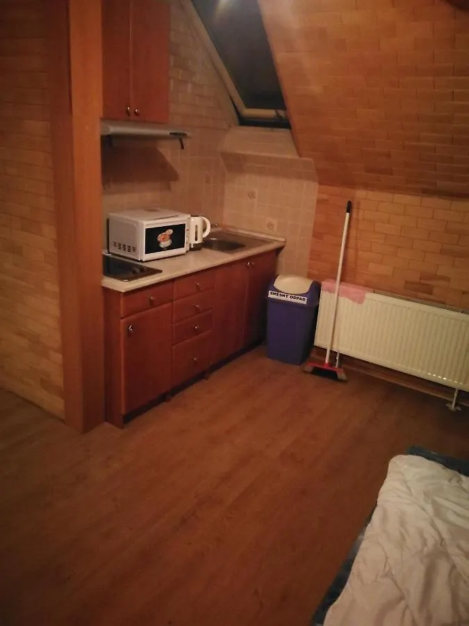 Villa Barrandovska Praga Apartament